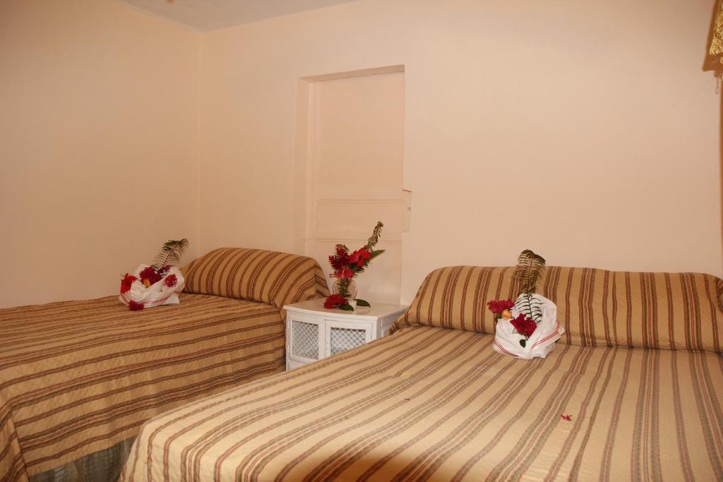 Executive Shaw Park Guest House Очо-Ріос Номер фото